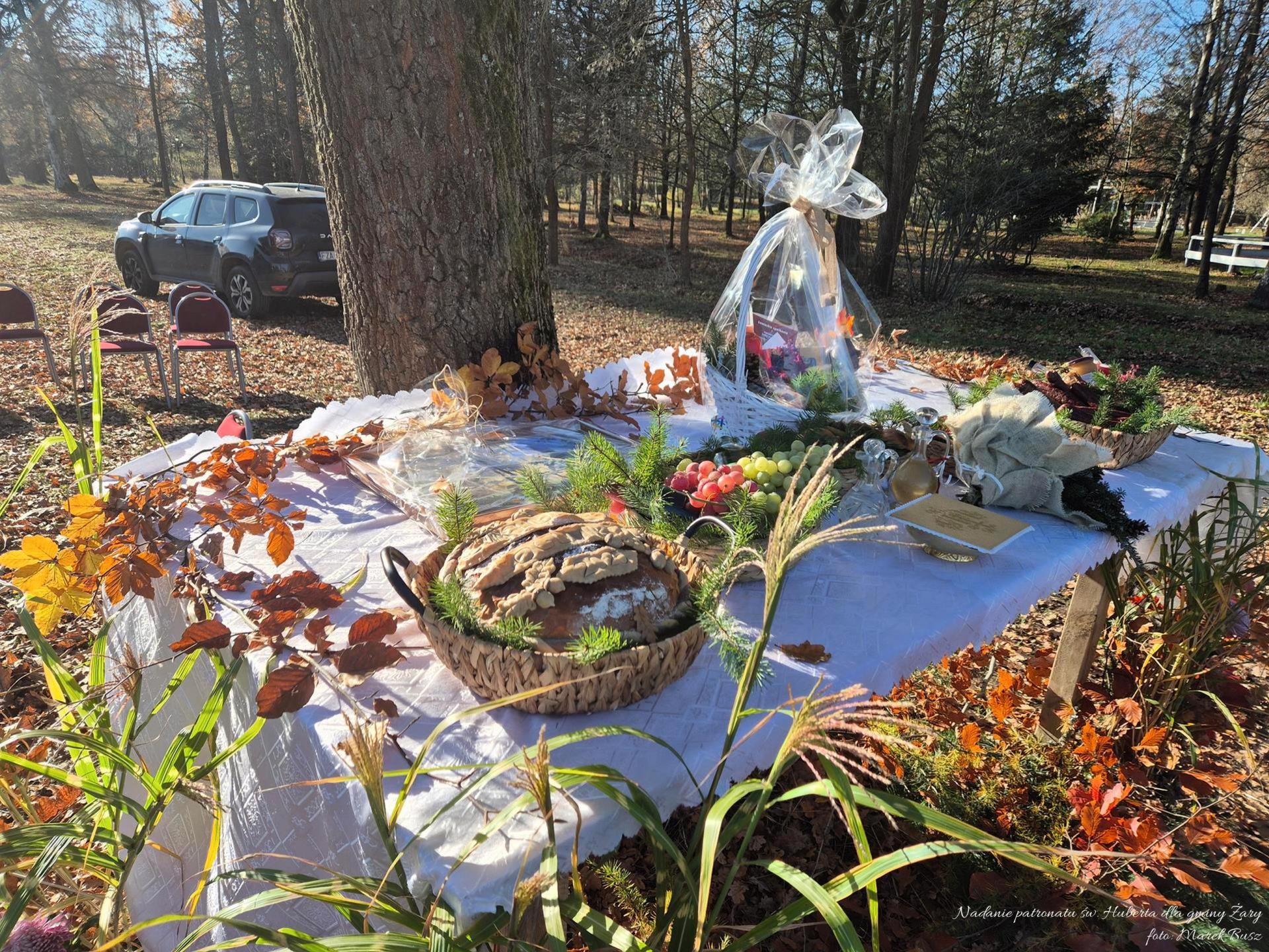 Nadanie patronatu św. Huberta dla gminy Żary – Fotorelacja Marka Busza